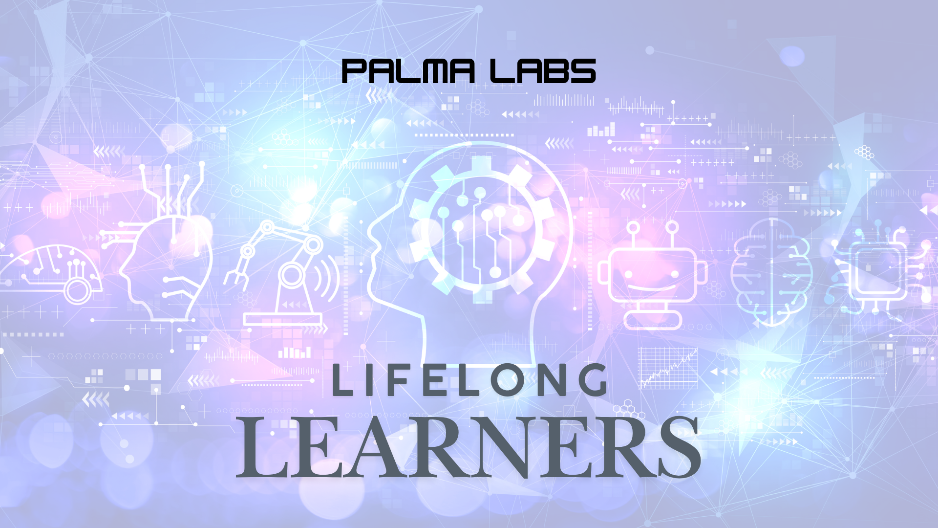 Palma Labs - Lifelong Learners - Conceito de aprendizado contínuo